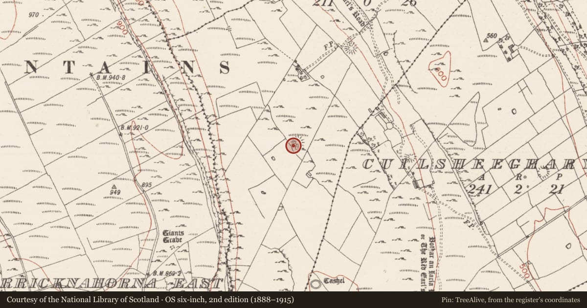 Ordnance Survey six-inch map, 2nd edition (1888–1915) covering the location of Ringfort - rath, Knockroe, County Sligo, with a pin at the register's coordinates