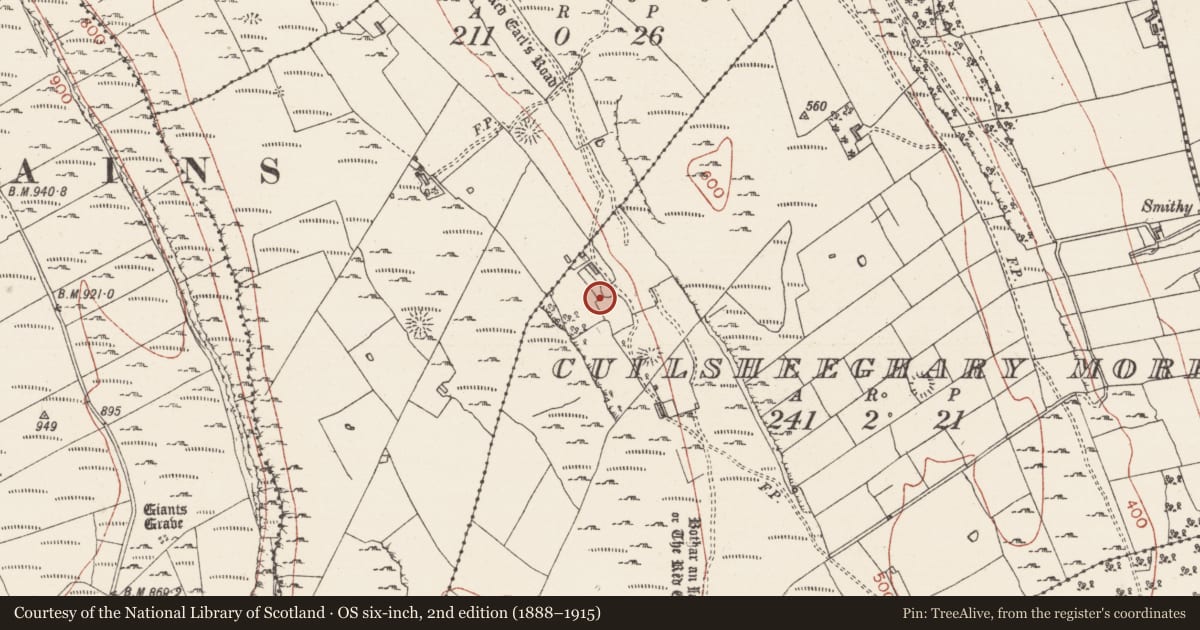Ordnance Survey six-inch map, 2nd edition (1888–1915) covering the location of Ringfort - cashel, Cuilsheeghary More, County Sligo, with a pin at the register's coordinates