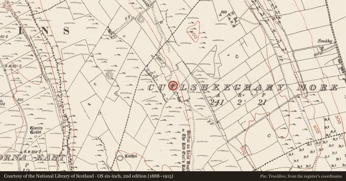 Ordnance Survey six-inch map, 2nd edition (1888–1915) covering the location of Ringfort - cashel, Cuilsheeghary More, County Sligo, with a pin at the register's coordinates