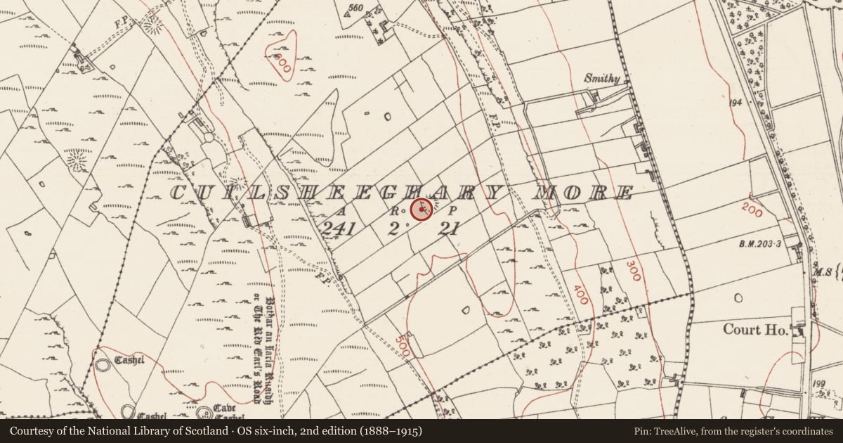 Ordnance Survey six-inch map, 2nd edition (1888–1915) covering the location of Ringfort - cashel, Cuilsheeghary More, County Sligo, with a pin at the register's coordinates