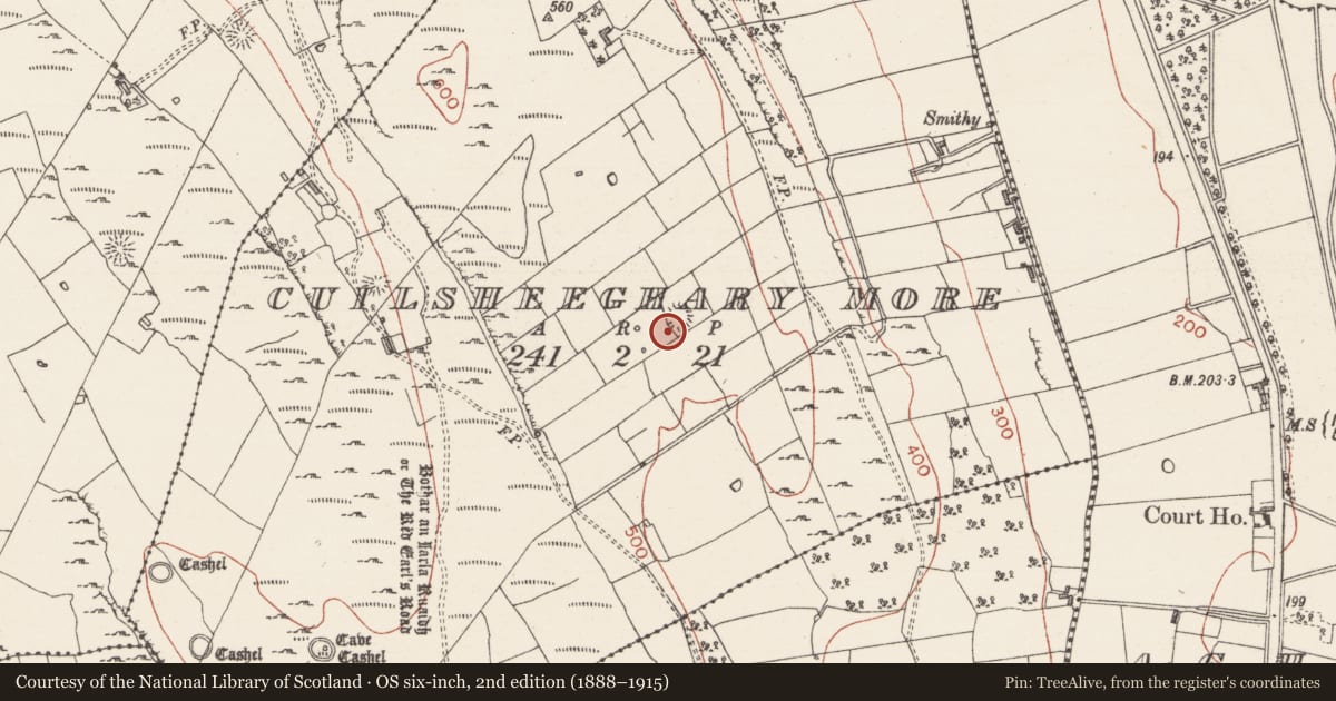 Ordnance Survey six-inch map, 2nd edition (1888–1915) covering the location of Souterrain, Cuilsheeghary More, County Sligo, with a pin at the register's coordinates