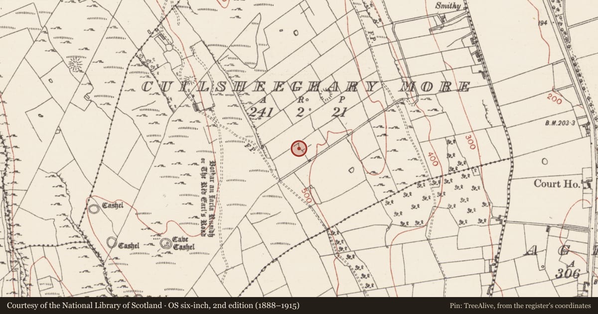 Ordnance Survey six-inch map, 2nd edition (1888–1915) covering the location of Ringfort - cashel, Cuilsheeghary More, County Sligo, with a pin at the register's coordinates