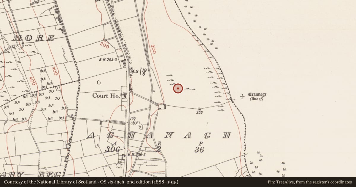 Ordnance Survey six-inch map, 2nd edition (1888–1915) covering the location of Megalithic tomb - court tomb, Aghanagh, County Sligo, with a pin at the register's coordinates