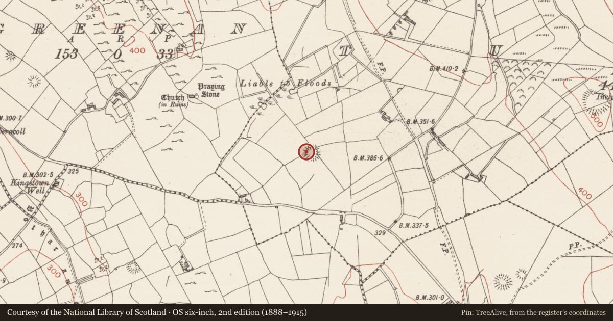 Ordnance Survey six-inch map, 2nd edition (1888–1915) covering the location of Souterrain, Tully, County Sligo, with a pin at the register's coordinates