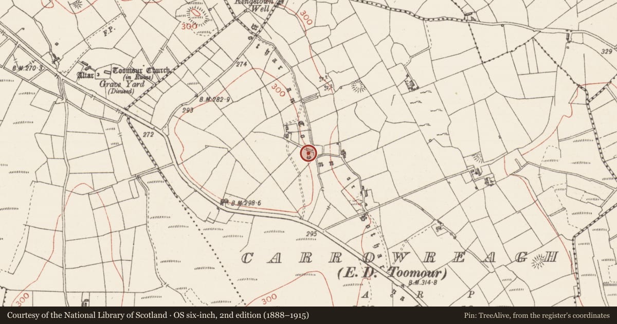 Ordnance Survey six-inch map, 2nd edition (1888–1915) covering the location of Road - road/trackway, Carrowreagh, County Sligo, with a pin at the register's coordinates