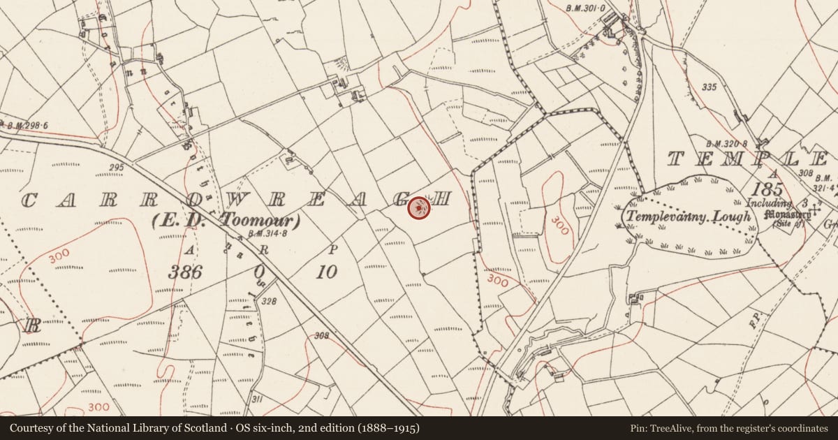 Ordnance Survey six-inch map, 2nd edition (1888–1915) covering the location of Ringfort - rath, Carrowreagh, County Sligo, with a pin at the register's coordinates