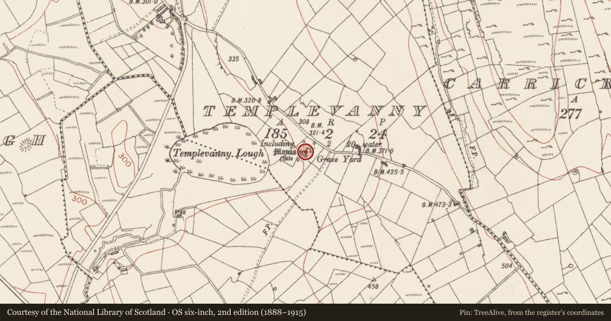 Ordnance Survey six-inch map, 2nd edition (1888–1915) covering the location of Graveslab, Templevanny, County Sligo, with a pin at the register's coordinates