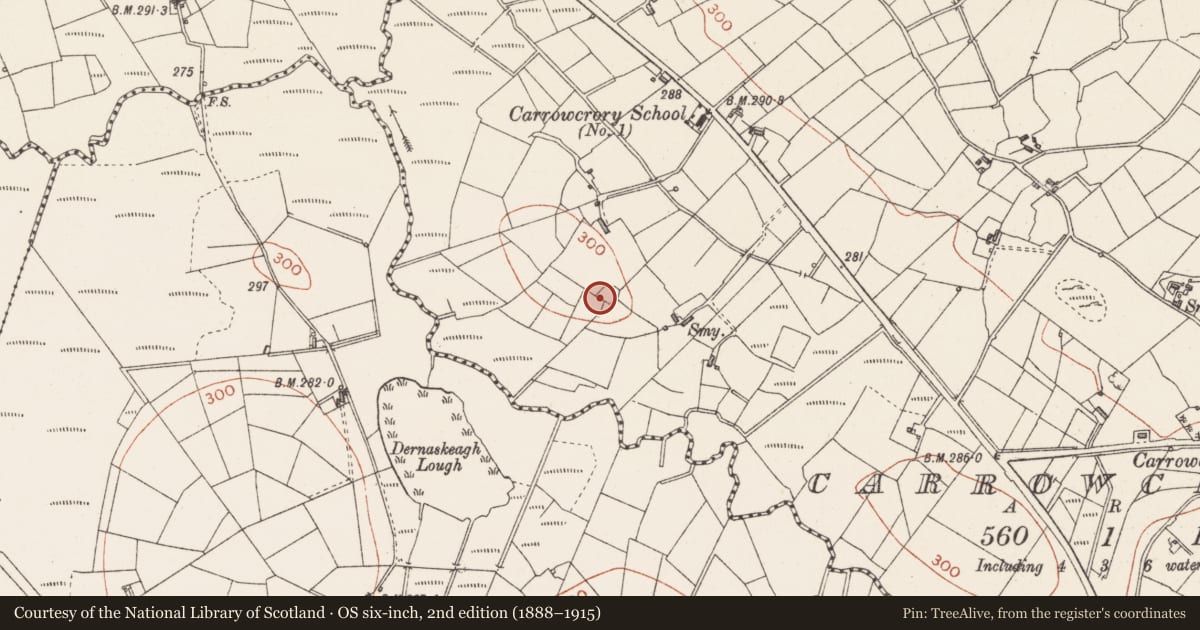 Ordnance Survey six-inch map, 2nd edition (1888–1915) covering the location of Ringfort - rath, Carrowcrory, County Sligo, with a pin at the register's coordinates