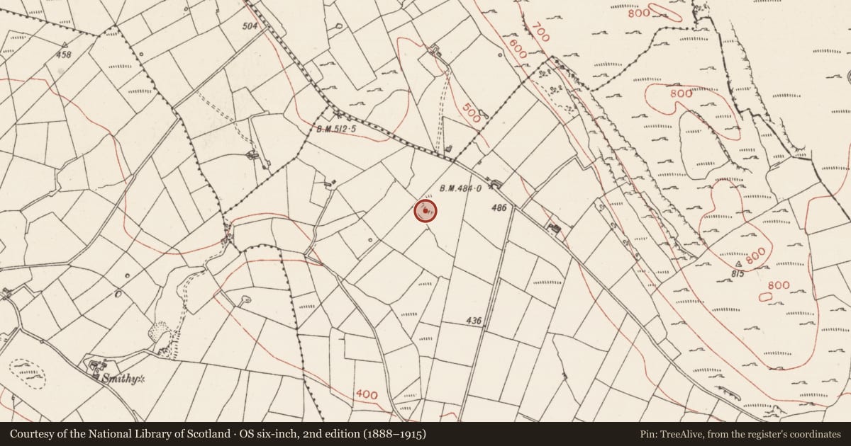 Ordnance Survey six-inch map, 2nd edition (1888–1915) covering the location of Ringfort - cashel, Brougher, County Sligo, with a pin at the register's coordinates