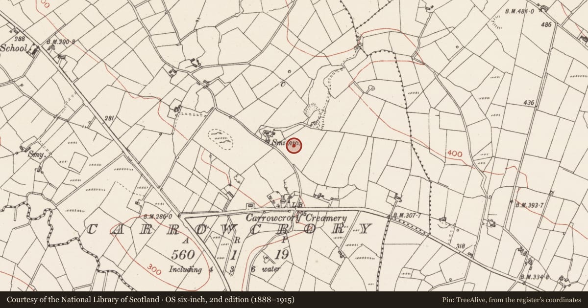 Ordnance Survey six-inch map, 2nd edition (1888–1915) covering the location of Barrow - embanked barrow, Carrowcrory, County Sligo, with a pin at the register's coordinates