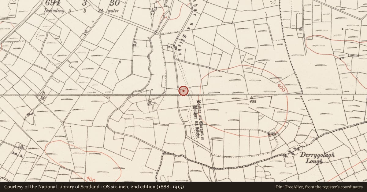 Ordnance Survey six-inch map, 2nd edition (1888–1915) covering the location of Road - road/trackway, Dernaskeagh, Derrygolagh, County Sligo, with a pin at the register's coordinates