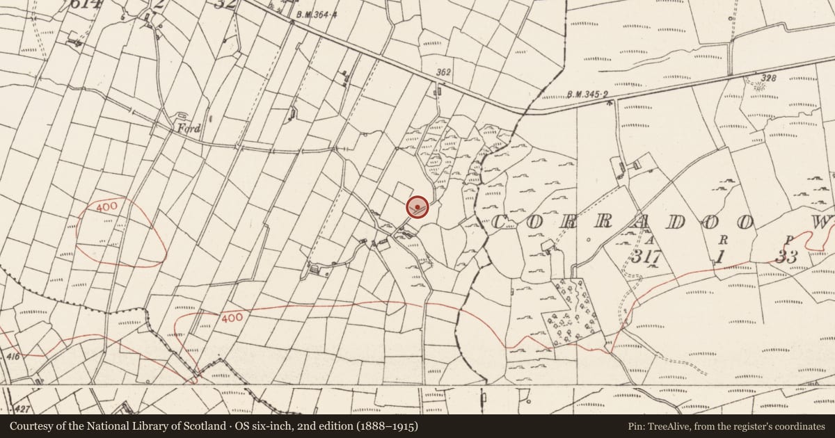 Ordnance Survey six-inch map, 2nd edition (1888–1915) covering the location of Pit-burial, Brougher, County Sligo, with a pin at the register's coordinates