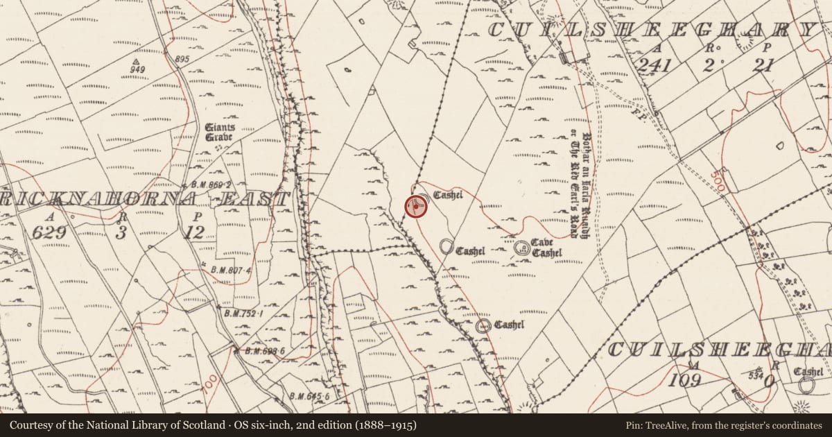 Ordnance Survey six-inch map, 2nd edition (1888–1915) covering the location of Ringfort - cashel, Cuilsheeghary More, County Sligo, with a pin at the register's coordinates
