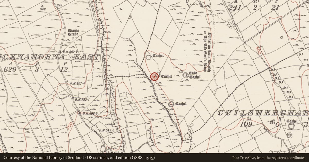 Ordnance Survey six-inch map, 2nd edition (1888–1915) covering the location of Ringfort - cashel, Cuilsheeghary More, County Sligo, with a pin at the register's coordinates