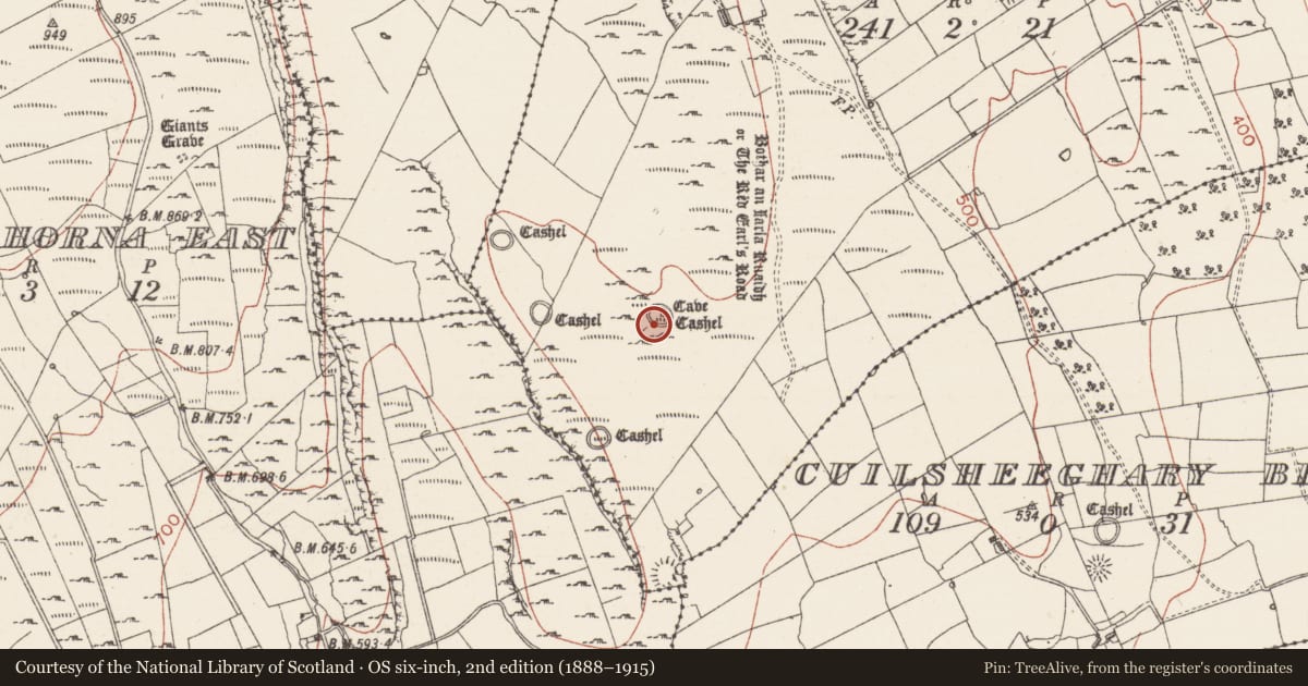 Ordnance Survey six-inch map, 2nd edition (1888–1915) covering the location of Hut site, Coolskeagh, County Sligo, with a pin at the register's coordinates