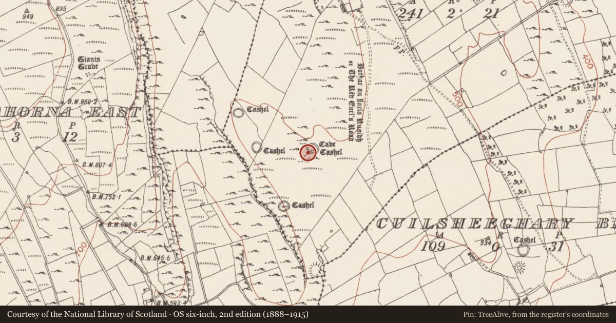 Ordnance Survey six-inch map, 2nd edition (1888–1915) covering the location of Hut site, Coolskeagh, County Sligo, with a pin at the register's coordinates