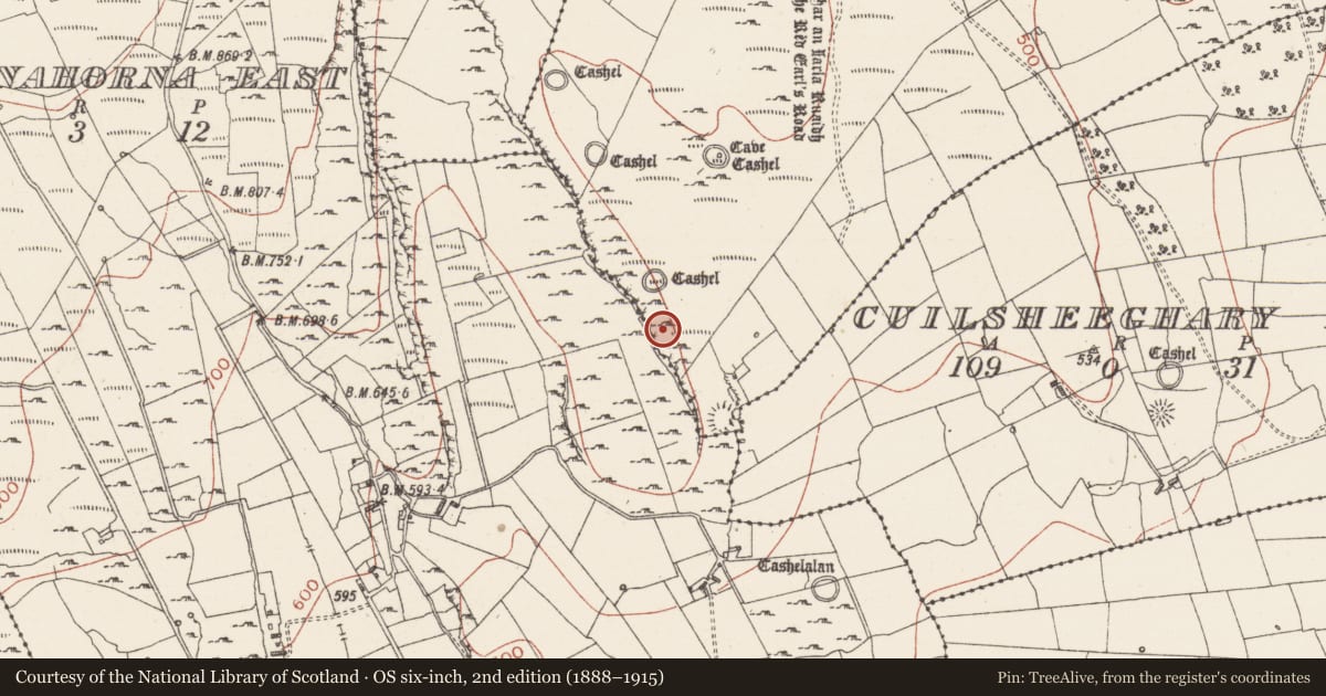 Ordnance Survey six-inch map, 2nd edition (1888–1915) covering the location of Enclosure, Cuilsheeghary More, County Sligo, with a pin at the register's coordinates
