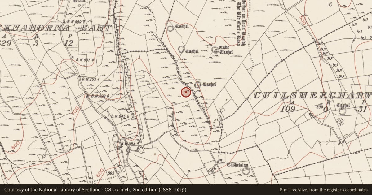 Ordnance Survey six-inch map, 2nd edition (1888–1915) covering the location of Hut site, Carricknahorna East, County Sligo, with a pin at the register's coordinates