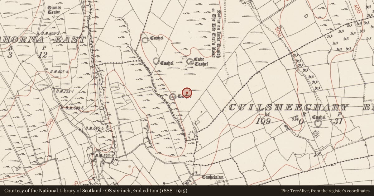 Ordnance Survey six-inch map, 2nd edition (1888–1915) covering the location of Sweathouse, Cuilsheeghary More, County Sligo, with a pin at the register's coordinates