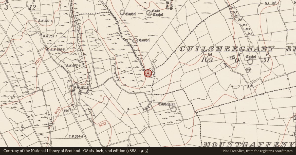 Ordnance Survey six-inch map, 2nd edition (1888–1915) covering the location of Enclosure, Cuilsheeghary More, County Sligo, with a pin at the register's coordinates