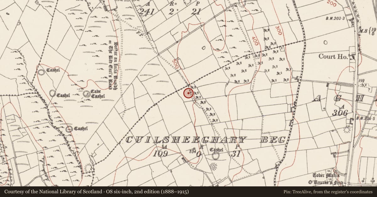 Ordnance Survey six-inch map, 2nd edition (1888–1915) covering the location of Souterrain, Cuilsheeghary Beg, County Sligo, with a pin at the register's coordinates
