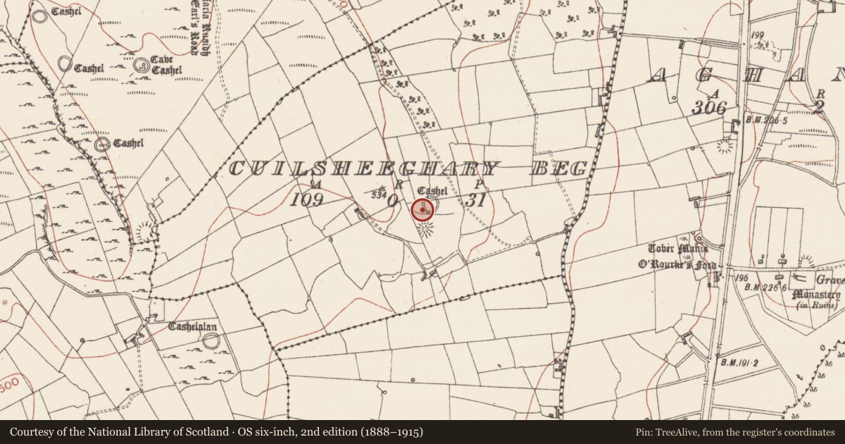 Ordnance Survey six-inch map, 2nd edition (1888–1915) covering the location of Ringfort - cashel, Cuilsheeghary Beg, County Sligo, with a pin at the register's coordinates