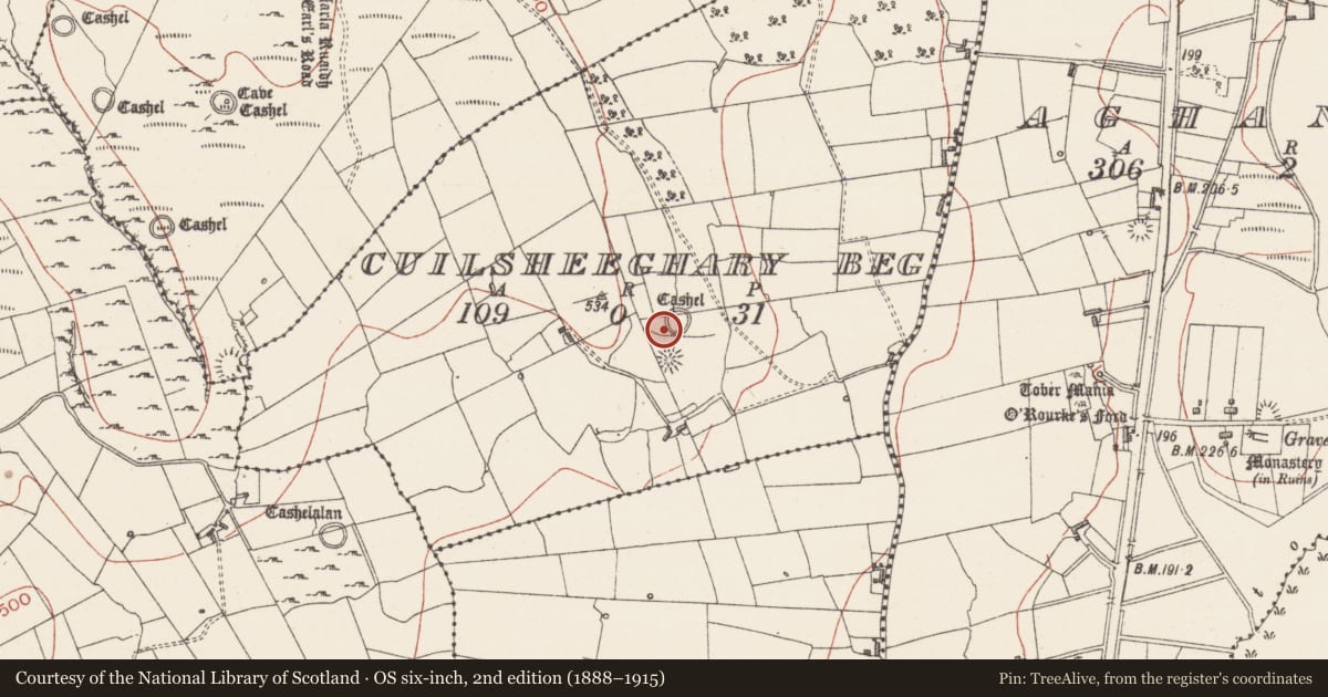 Ordnance Survey six-inch map, 2nd edition (1888–1915) covering the location of Hut site, Cuilsheeghary Beg, County Sligo, with a pin at the register's coordinates