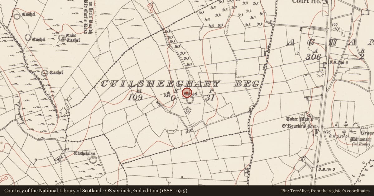 Ordnance Survey six-inch map, 2nd edition (1888–1915) covering the location of Children's burial ground, Cuilsheeghary Beg, County Sligo, with a pin at the register's coordinates