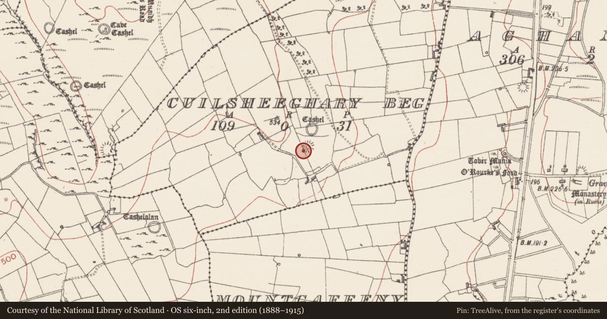Ordnance Survey six-inch map, 2nd edition (1888–1915) covering the location of Ringfort - cashel, Cuilsheeghary Beg, County Sligo, with a pin at the register's coordinates