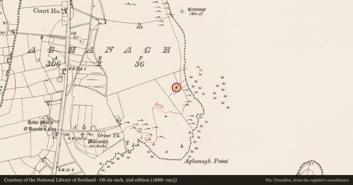 Ordnance Survey six-inch map, 2nd edition (1888–1915) covering the location of Kiln, Aghanagh, County Sligo, with a pin at the register's coordinates