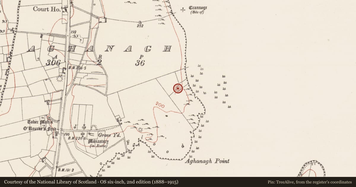 Ordnance Survey six-inch map, 2nd edition (1888–1915) covering the location of Structure, Aghanagh, County Sligo, with a pin at the register's coordinates