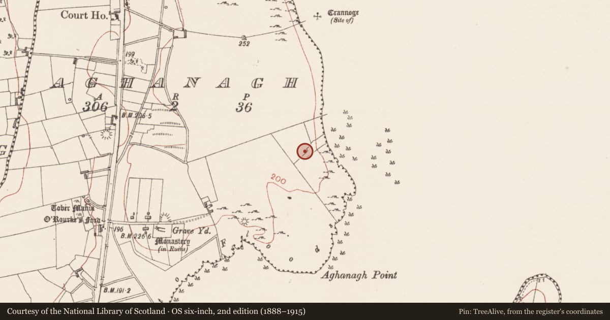 Ordnance Survey six-inch map, 2nd edition (1888–1915) covering the location of Building, Aghanagh, County Sligo, with a pin at the register's coordinates