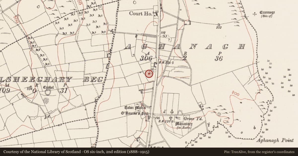 Ordnance Survey six-inch map, 2nd edition (1888–1915) covering the location of Barrow - ditch barrow, Aghanagh, County Sligo, with a pin at the register's coordinates