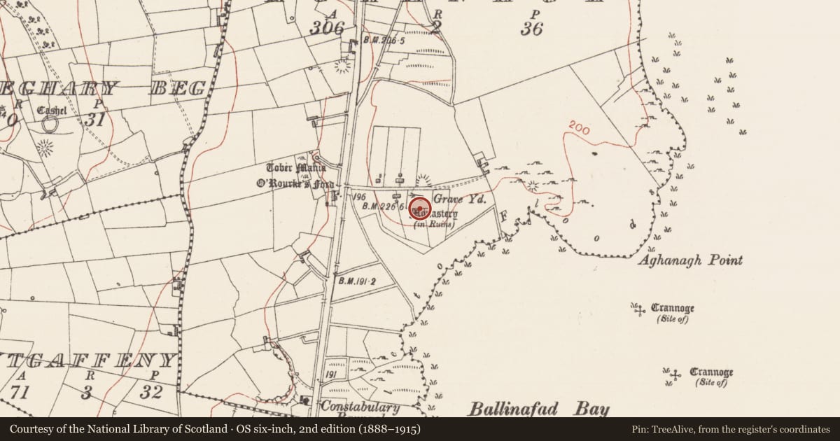 Ordnance Survey six-inch map, 2nd edition (1888–1915) covering the location of Cross-inscribed stone, Aghanagh, County Sligo, with a pin at the register's coordinates