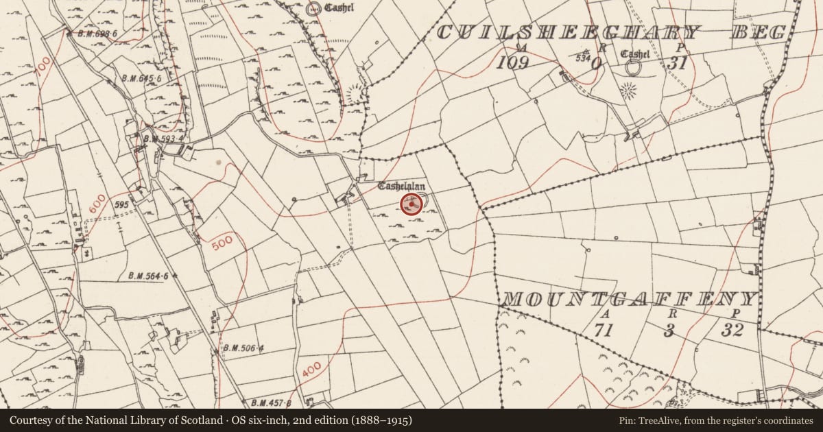 Ordnance Survey six-inch map, 2nd edition (1888–1915) covering the location of Ringfort - cashel, Carricknahorna East, County Sligo, with a pin at the register's coordinates
