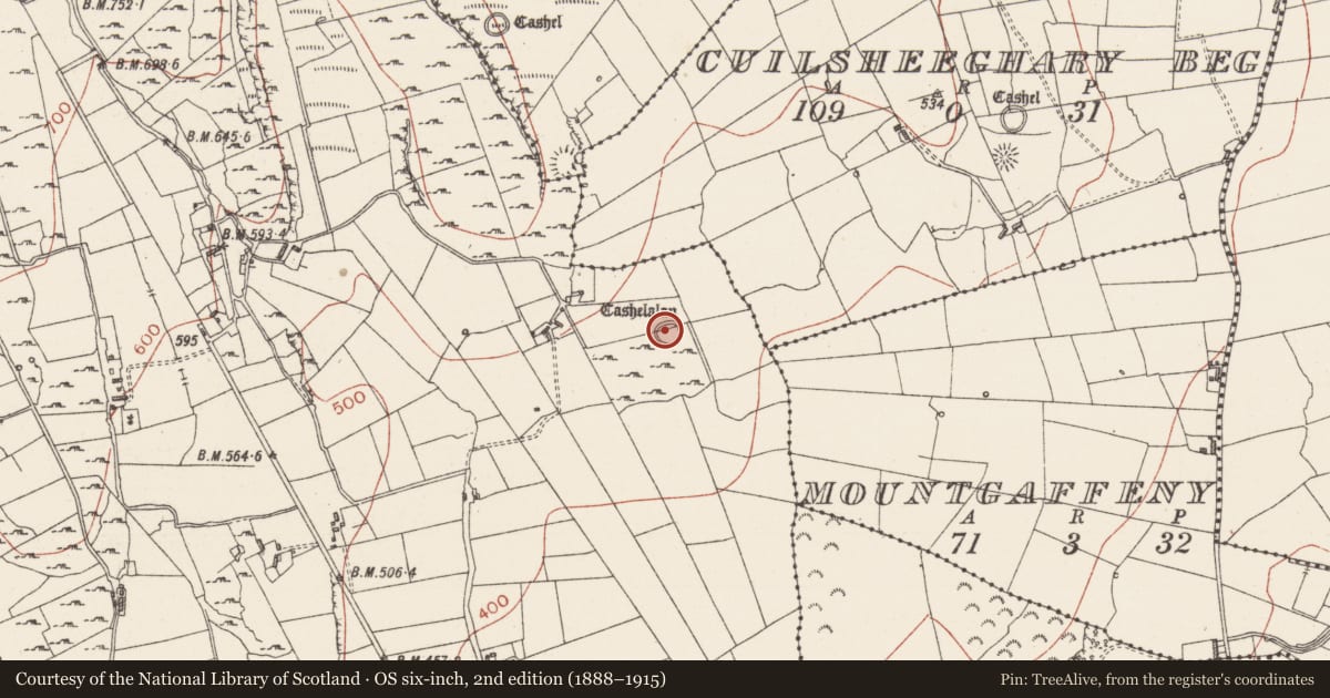 Ordnance Survey six-inch map, 2nd edition (1888–1915) covering the location of Enclosure, Carricknahorna East, County Sligo, with a pin at the register's coordinates