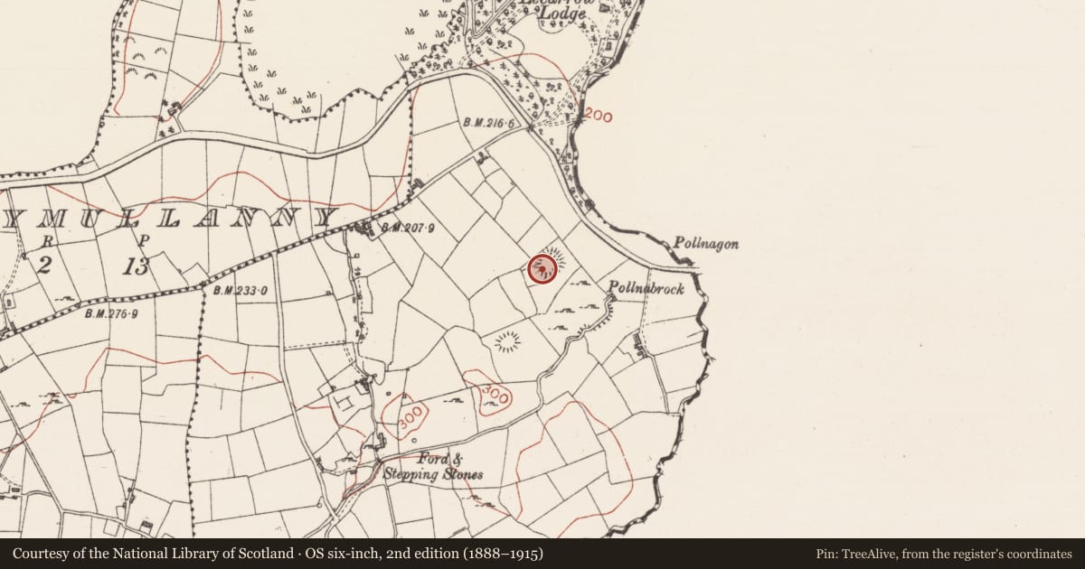 Ordnance Survey six-inch map, 2nd edition (1888–1915) covering the location of Ringfort - cashel, Lecarrow, County Sligo, with a pin at the register's coordinates
