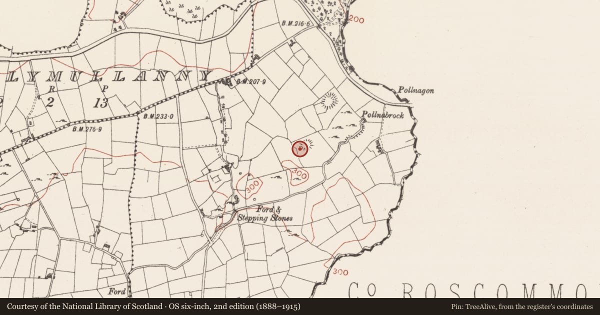 Ordnance Survey six-inch map, 2nd edition (1888–1915) covering the location of Ringfort - cashel, Lecarrow, County Sligo, with a pin at the register's coordinates