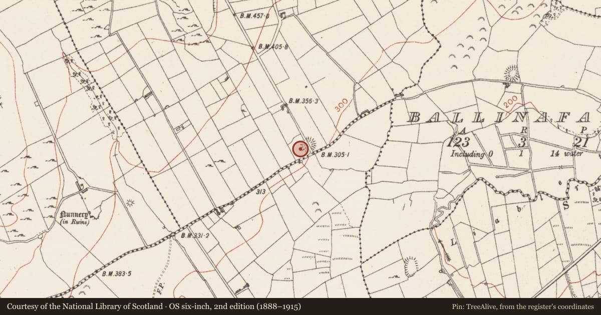 Ordnance Survey six-inch map, 2nd edition (1888–1915) covering the location of Ringfort - rath, Carricknahorna East, County Sligo, with a pin at the register's coordinates