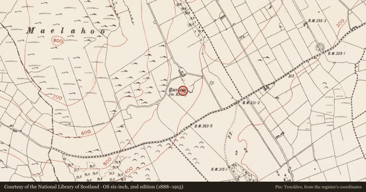Ordnance Survey six-inch map, 2nd edition (1888–1915) covering the location of Graveyard, Carricknahorna West, County Sligo, with a pin at the register's coordinates