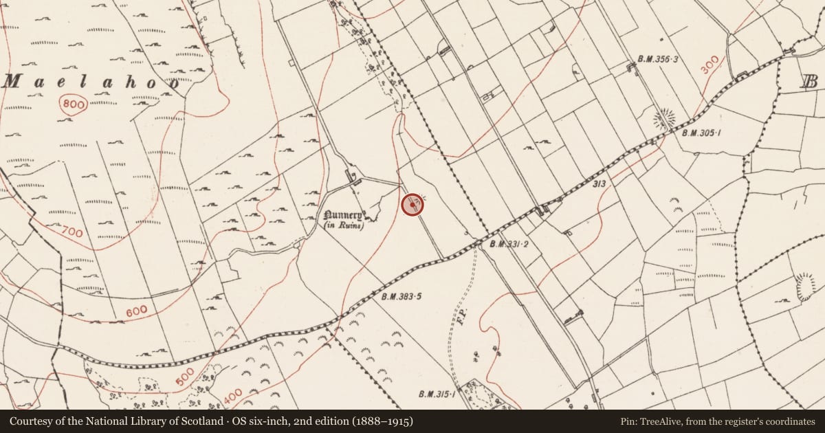 Ordnance Survey six-inch map, 2nd edition (1888–1915) covering the location of Hut site, Carricknahorna West, County Sligo, with a pin at the register's coordinates