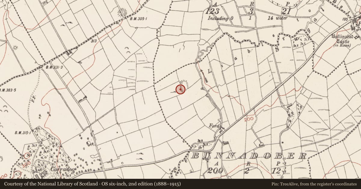 Ordnance Survey six-inch map, 2nd edition (1888–1915) covering the location of Ringfort - rath, Bunnadober, County Sligo, with a pin at the register's coordinates