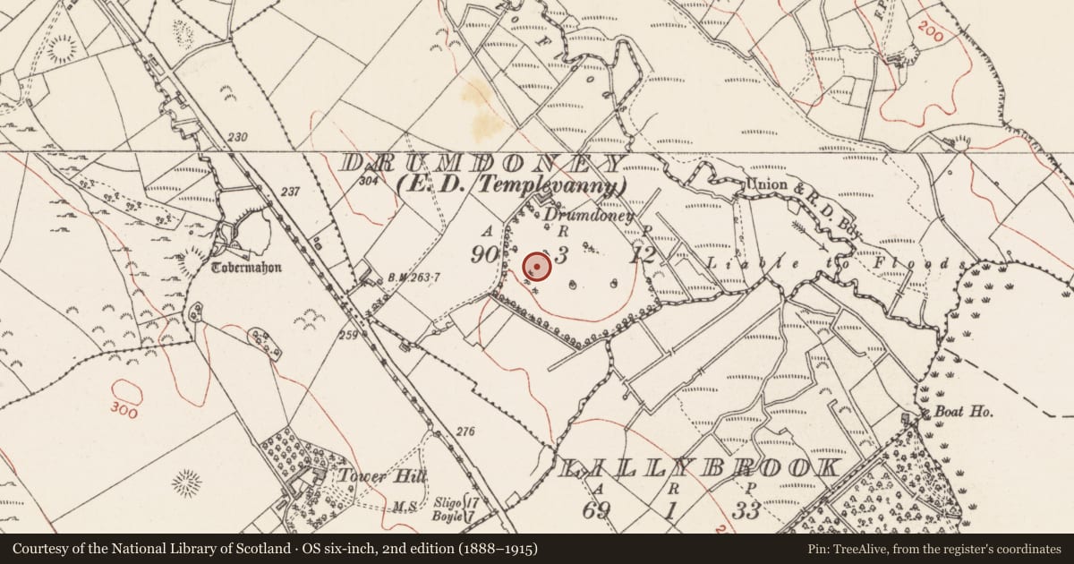 Ordnance Survey six-inch map, 2nd edition (1888–1915) covering the location of Designed landscape - tree-ring, Drumdoney, County Sligo, with a pin at the register's coordinates