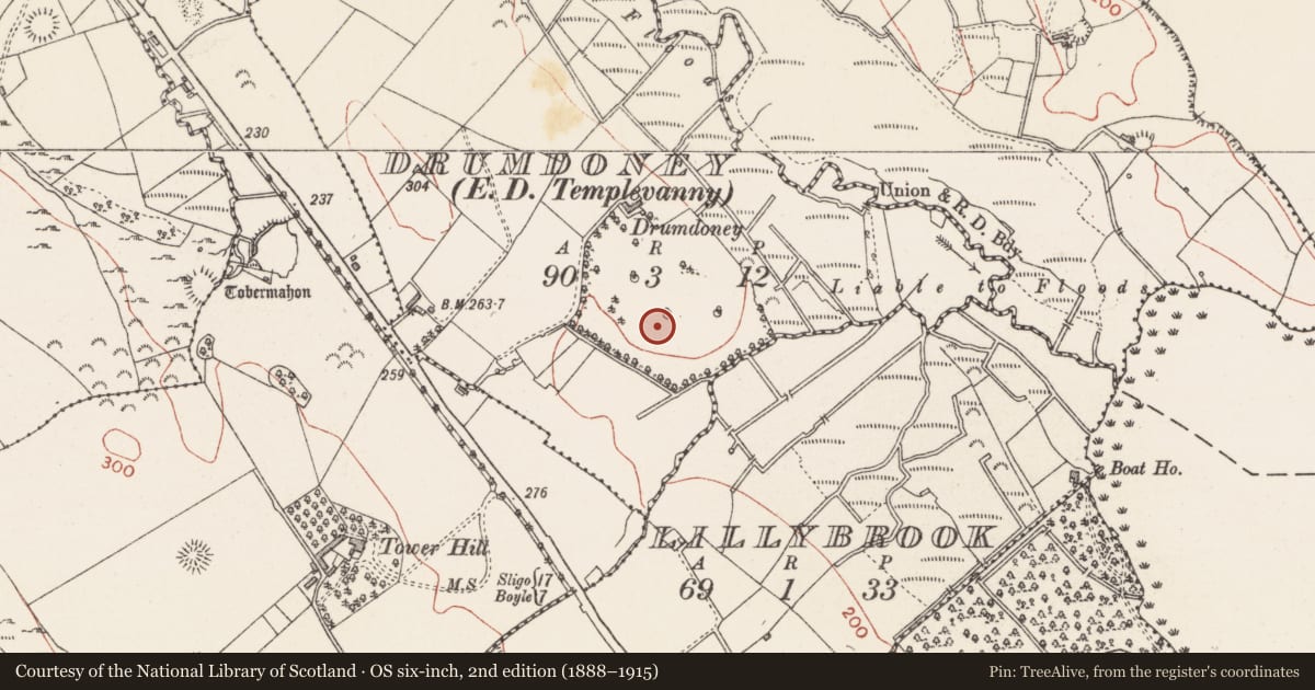 Ordnance Survey six-inch map, 2nd edition (1888–1915) covering the location of Designed landscape - tree-ring, Drumdoney, County Sligo, with a pin at the register's coordinates