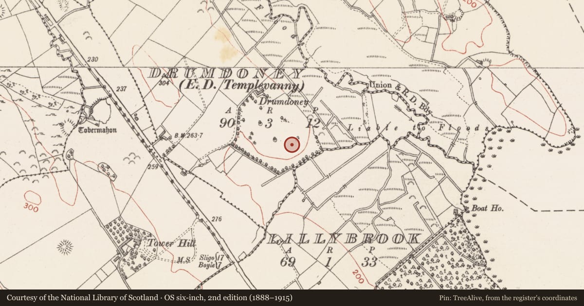 Ordnance Survey six-inch map, 2nd edition (1888–1915) covering the location of Designed landscape - tree-ring, Drumdoney, County Sligo, with a pin at the register's coordinates
