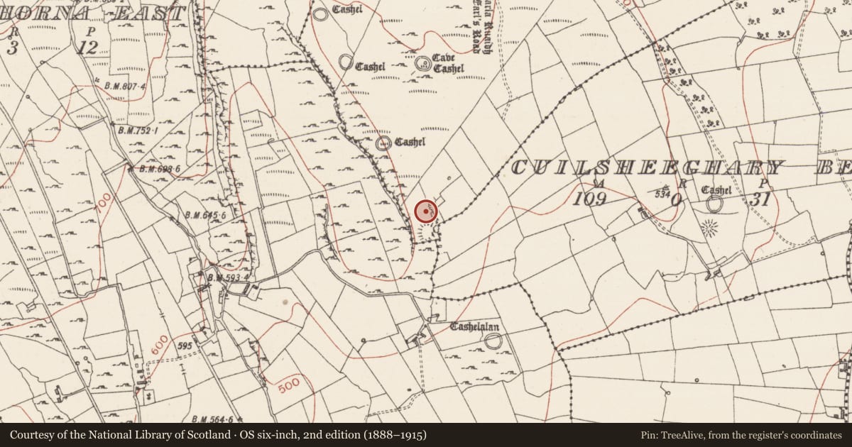 Ordnance Survey six-inch map, 2nd edition (1888–1915) covering the location of House - 18th/19th century, Cuilsheeghary More, County Sligo, with a pin at the register's coordinates