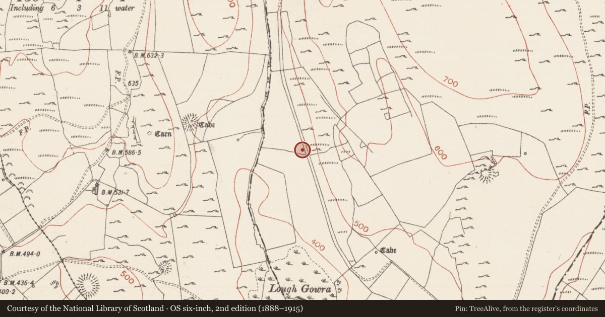 Ordnance Survey six-inch map, 2nd edition (1888–1915) covering the location of Road - road/trackway, Treanmacmurtagh, County Sligo, with a pin at the register's coordinates