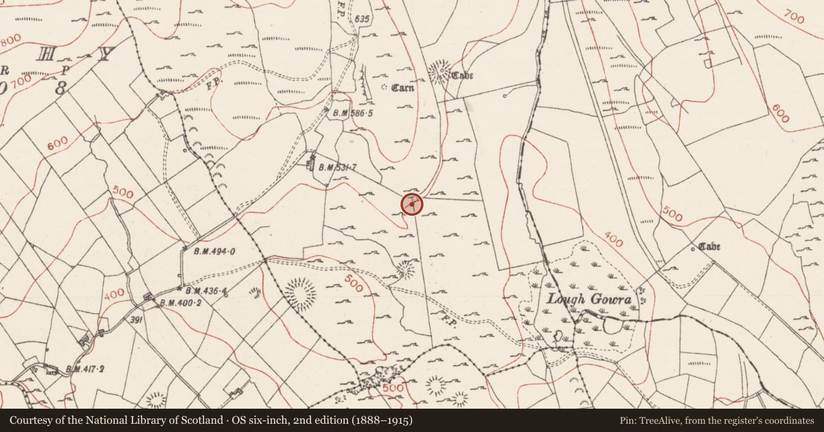 Ordnance Survey six-inch map, 2nd edition (1888–1915) covering the location of House - 18th/19th century, Treanmore, County Sligo, with a pin at the register's coordinates