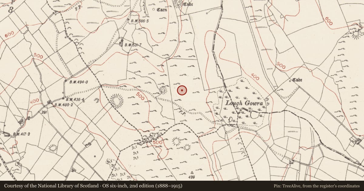 Ordnance Survey six-inch map, 2nd edition (1888–1915) covering the location of Cairn - unclassified, Treanmore, County Sligo, with a pin at the register's coordinates