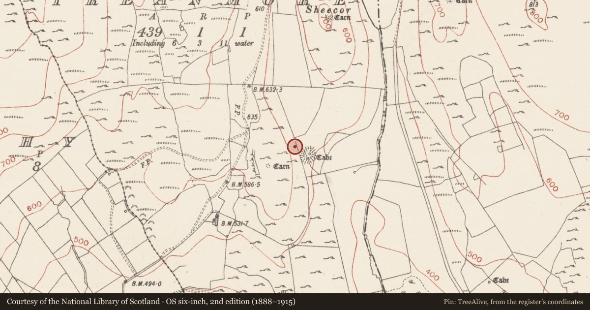 Ordnance Survey six-inch map, 2nd edition (1888–1915) covering the location of Hut site, Treanmore, County Sligo, with a pin at the register's coordinates